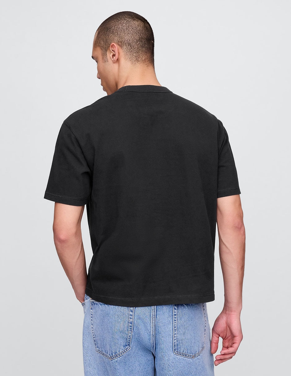 Playera